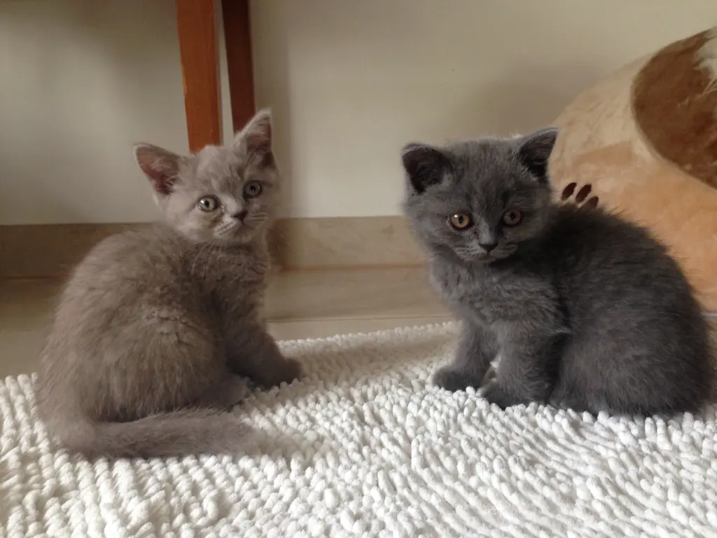 Andachtsbild von Mama