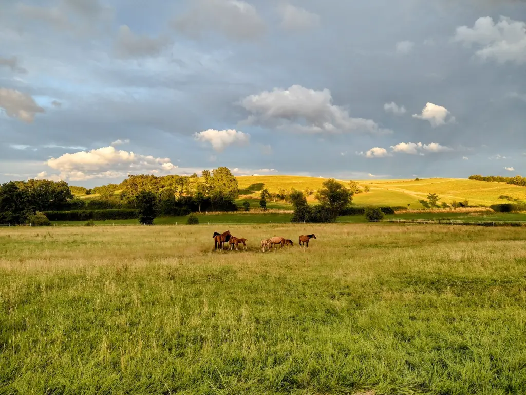 Andachtsbild von Corinna ♥️