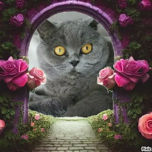 Andachtsbild von Tanja mit Timmy im Herzen 