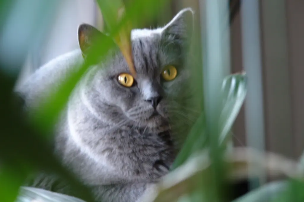 Andachtsbild von Für meine wunderschöne Emmi... ❤️