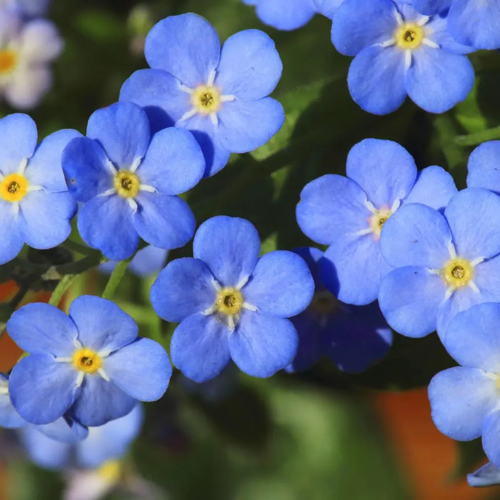 Andachtsbild von Corinna ♥️