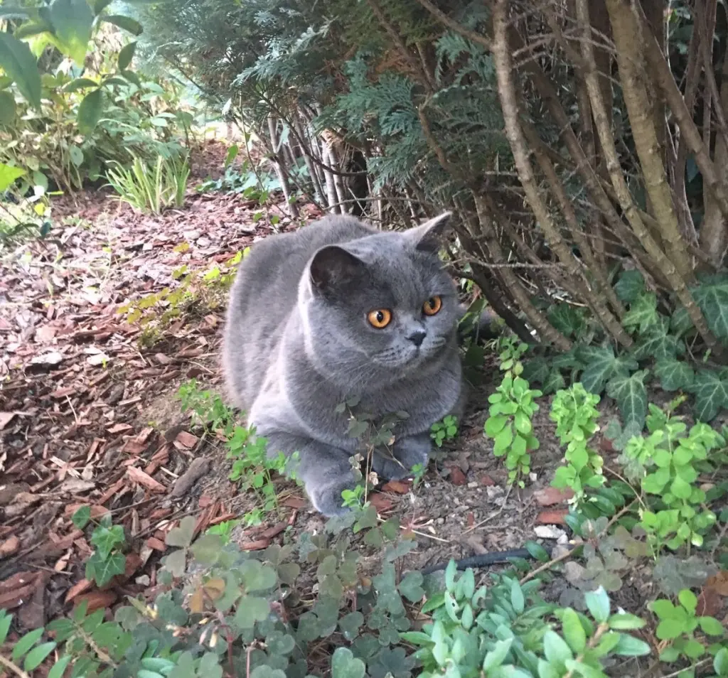 Andachtsbild von Mama❤️