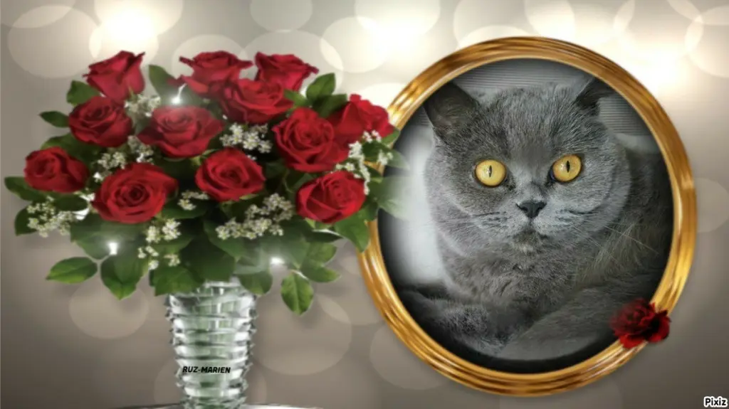 Andachtsbild von Tanja mit Timmy im ❤