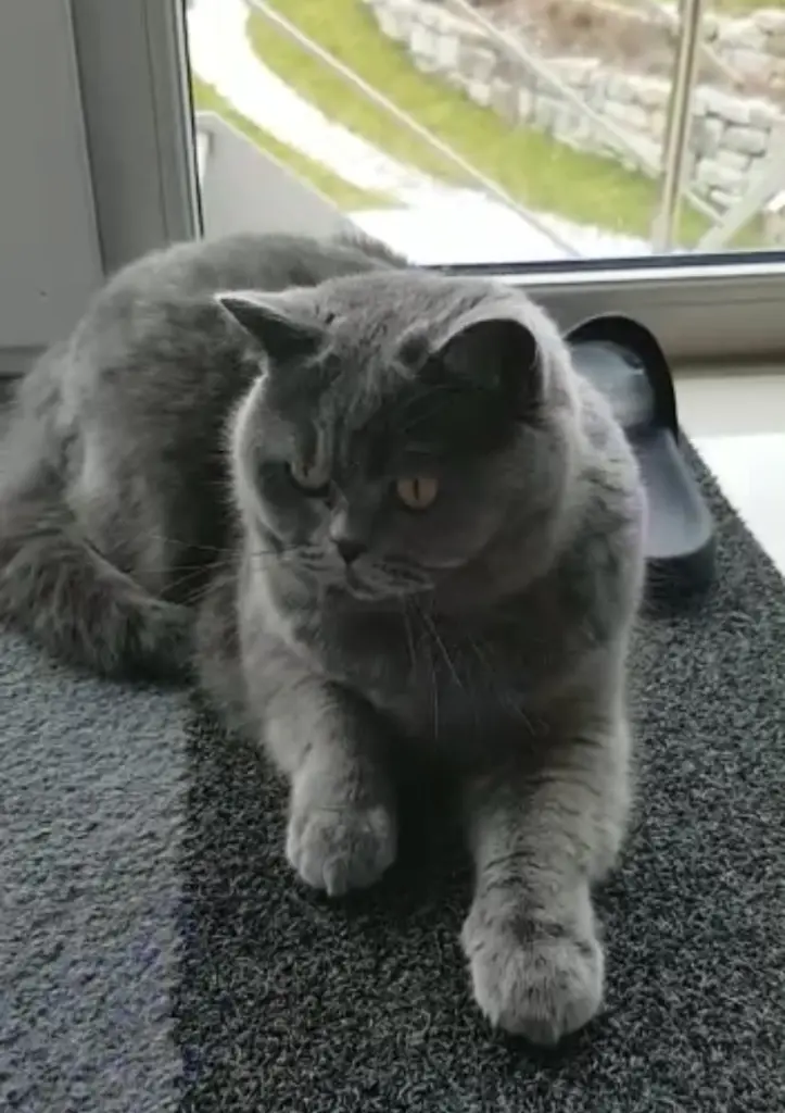 Andachtsbild von An mein Mädchen❤️