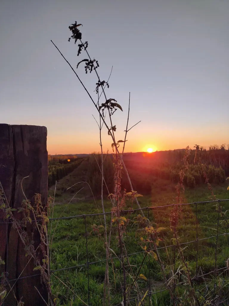 Andachtsbild von Corinna ❤️