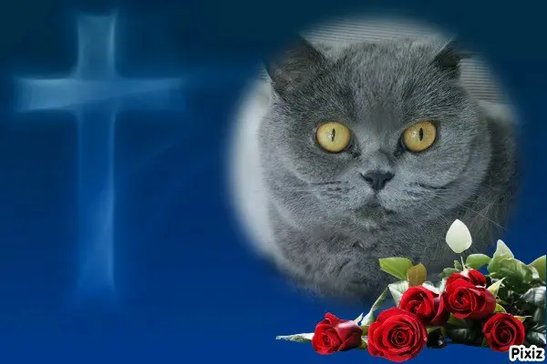 Andachtsbild von Tanja mit Timmy im 💘