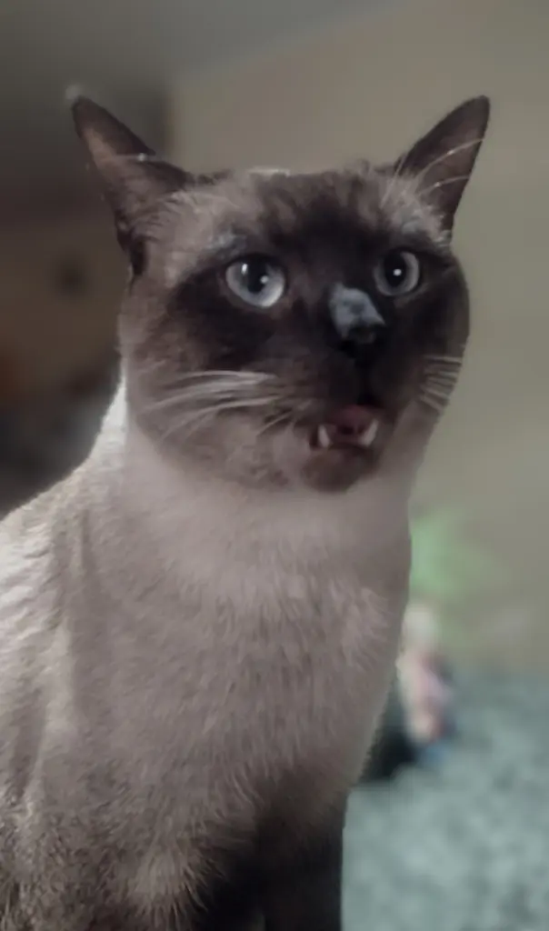 Andachtsbild von Corinna ❤️