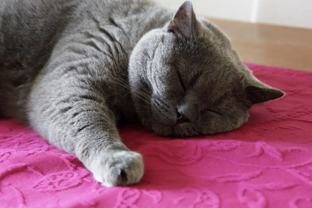 Andachtsbild von Für Emmi ❤️ von Snooperle