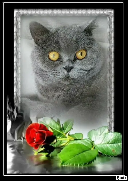 Andachtsbild von Tanja mit Timmy im 💘