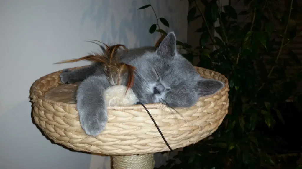 Andachtsbild von Meine Emmi❤️❤️❤️