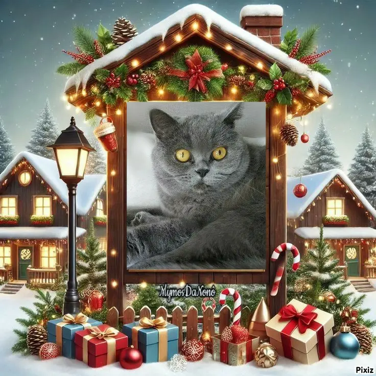 Andachtsbild von Tanja mit Timmy im 💘