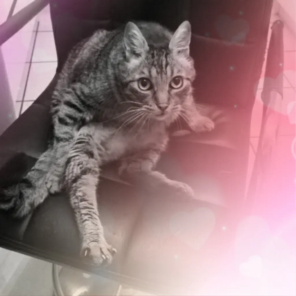 Condolence image of Tante Rike
