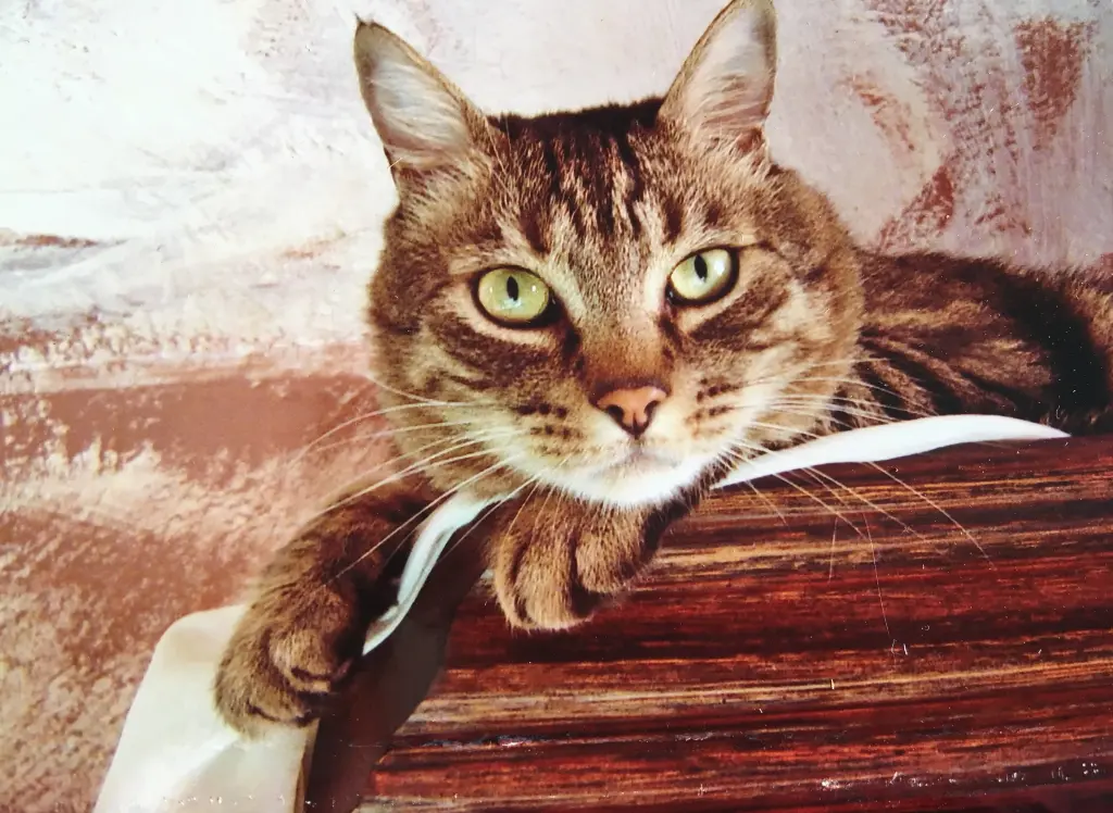 Condolence image of Marion
