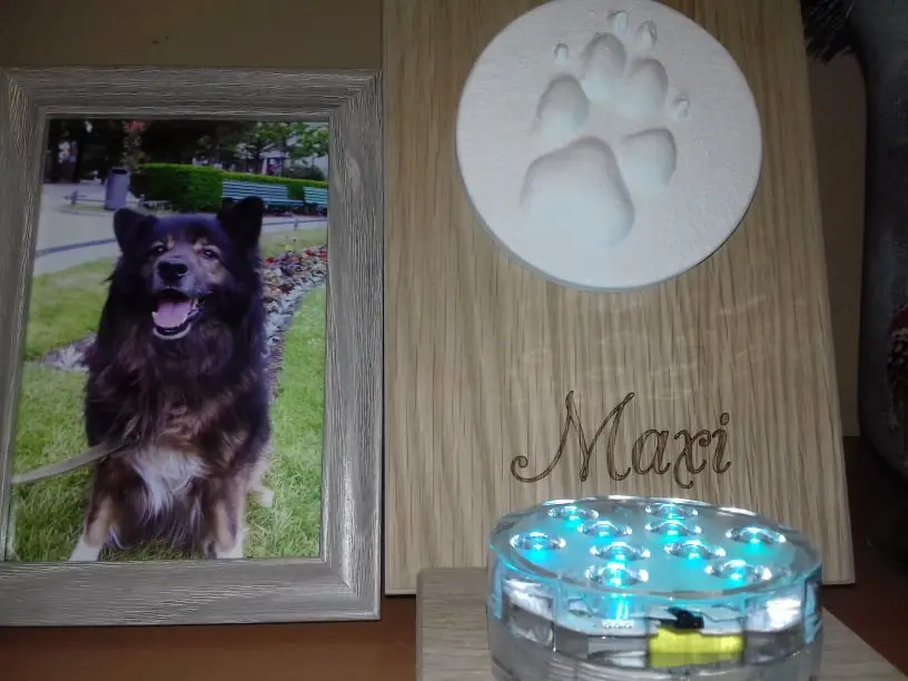 Condolence image of Sev mit Maxi