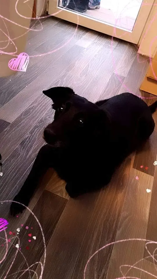 Image from Sunny