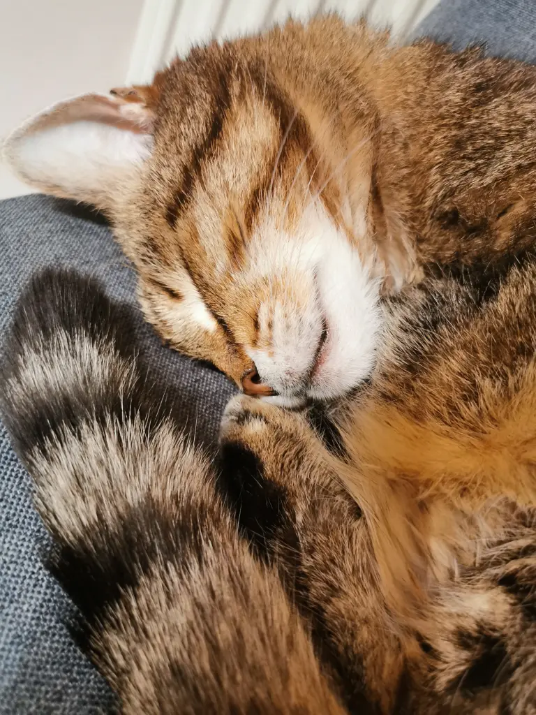 Condolence image of Katrin