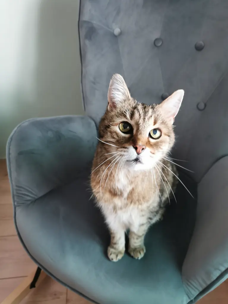 Condolence image of Katrin
