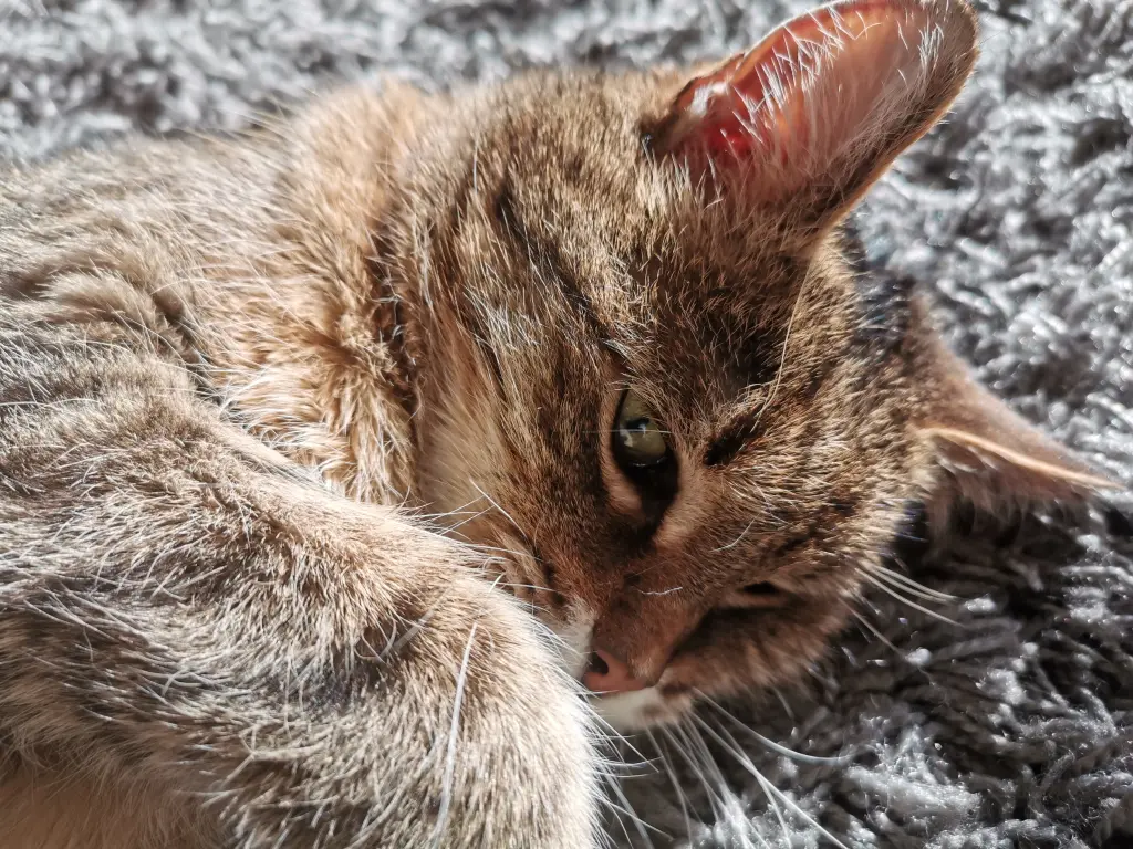 Condolence image of Katrin