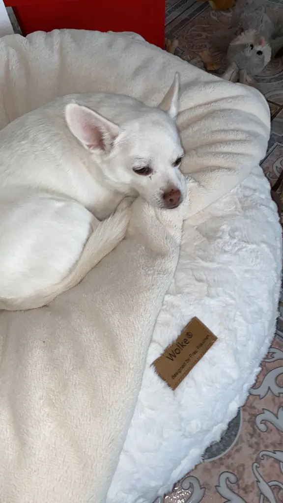 Bild von Lucy