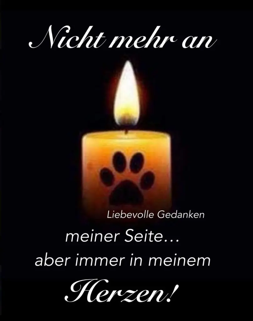 Andachtsbild von Gabi mit Max gest.20.11.2020❣️