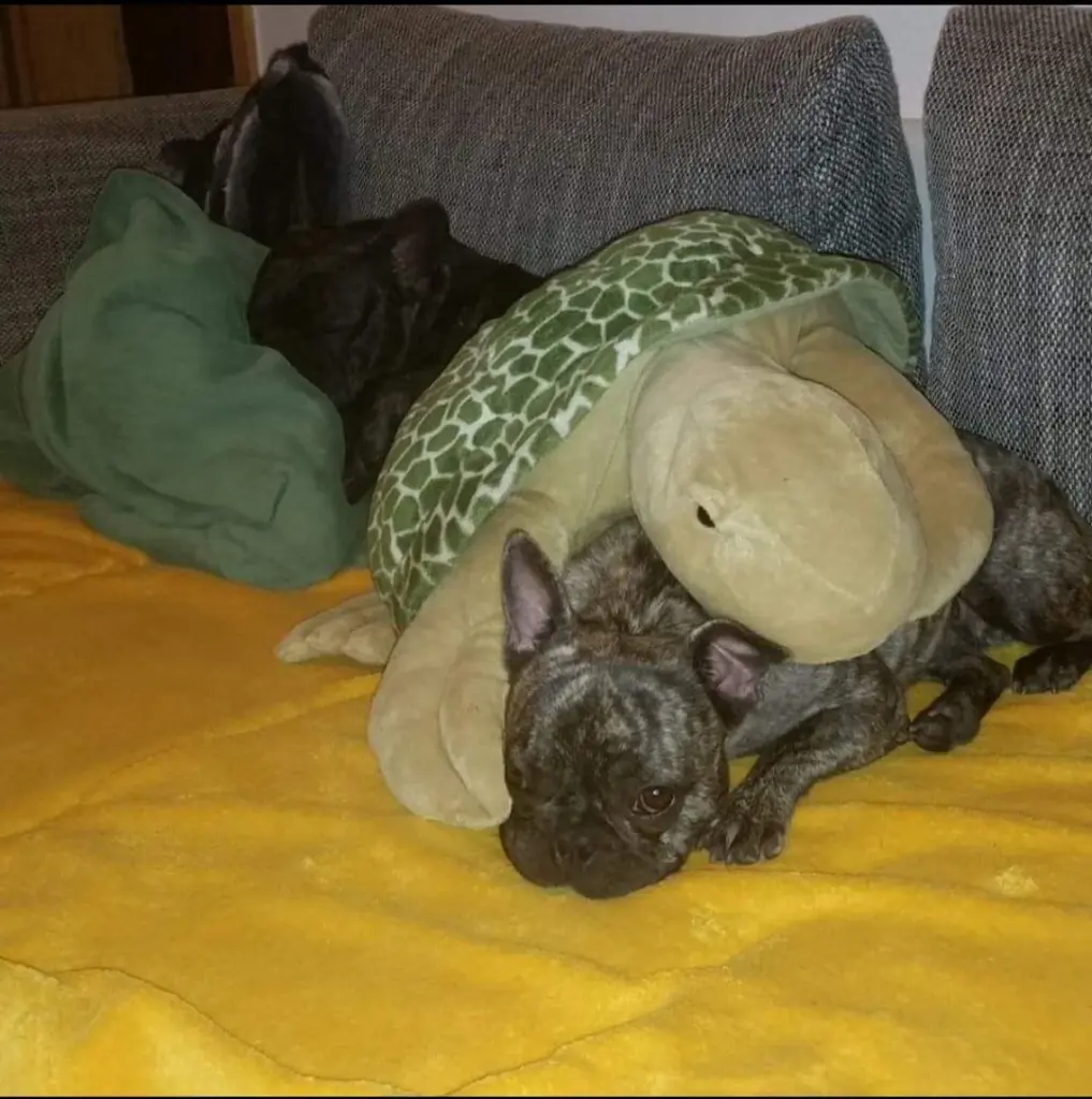 Andachtsbild von Heidi