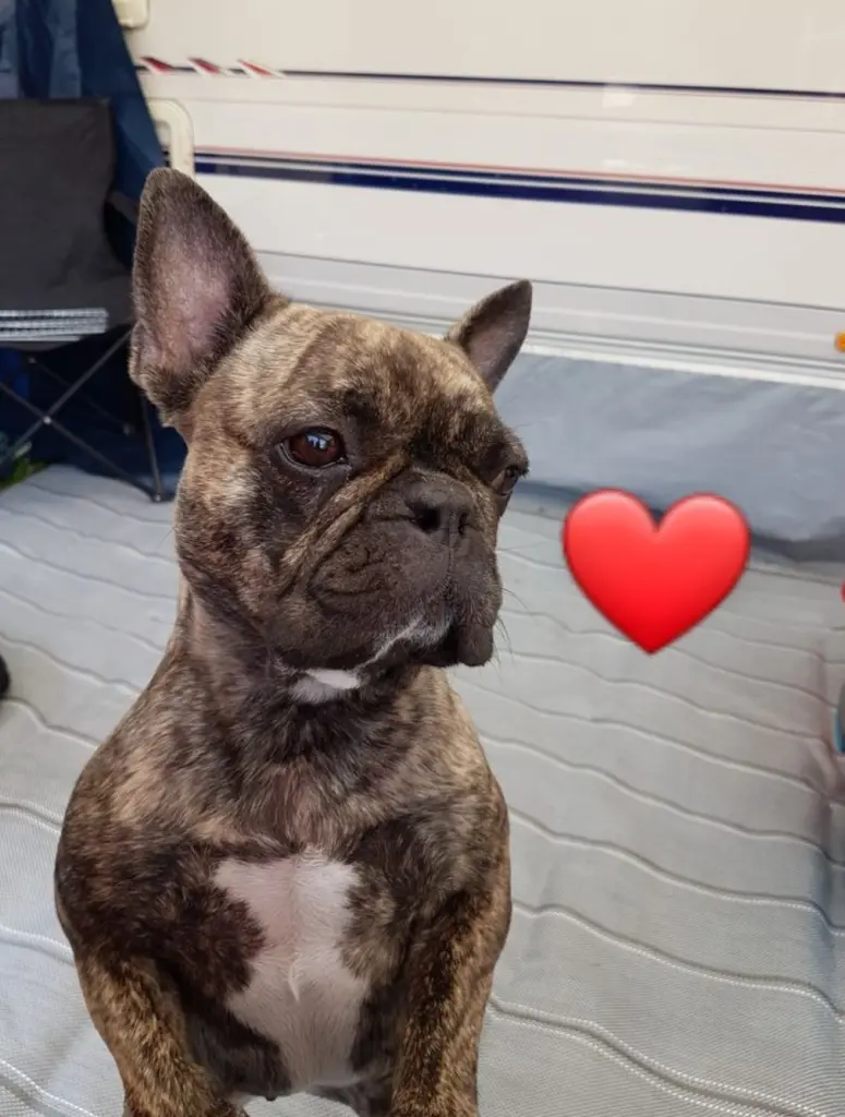 Andachtsbild von Heidi