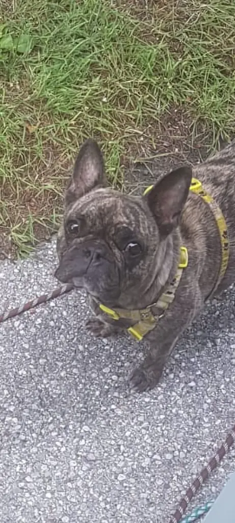 Andachtsbild von Heidi