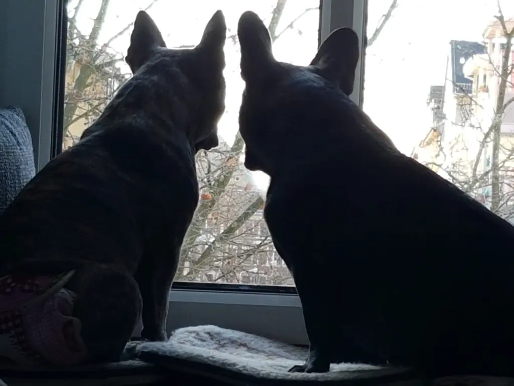 Andachtsbild von Heidi