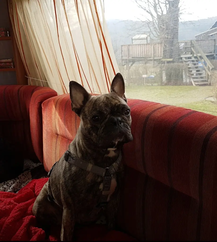 Andachtsbild von Heidi