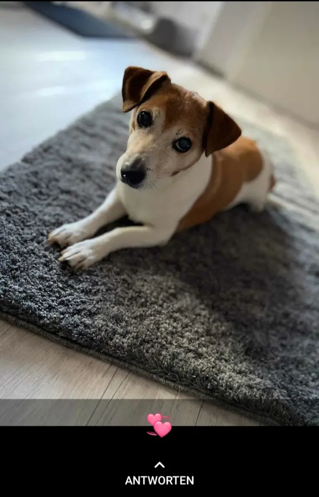 Image from Fynn
