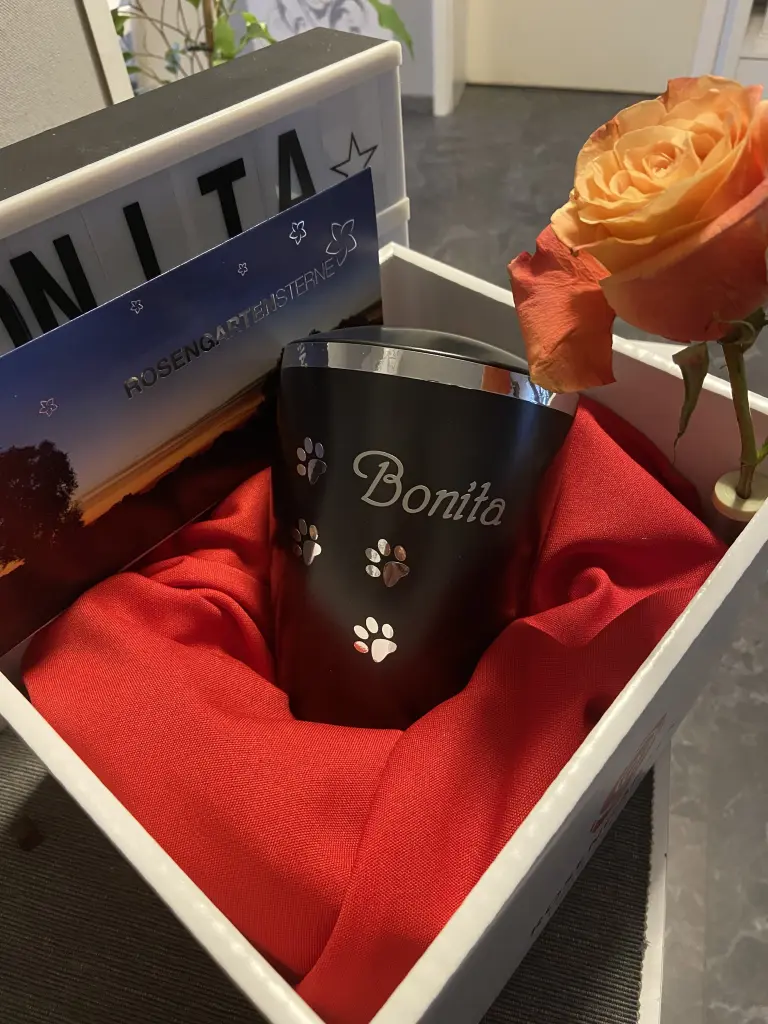 Image from Bonita