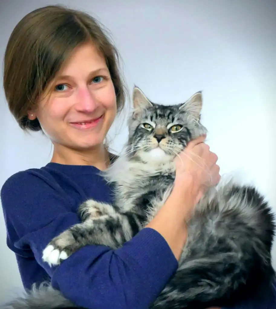 Condolence image of ❤️Vermisse dich, mein Liebchen❤️