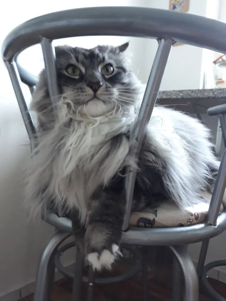 Condolence image of Nastya