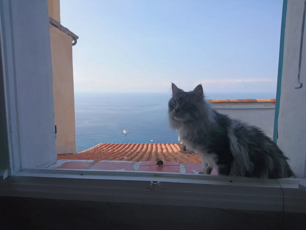 Image from Philip