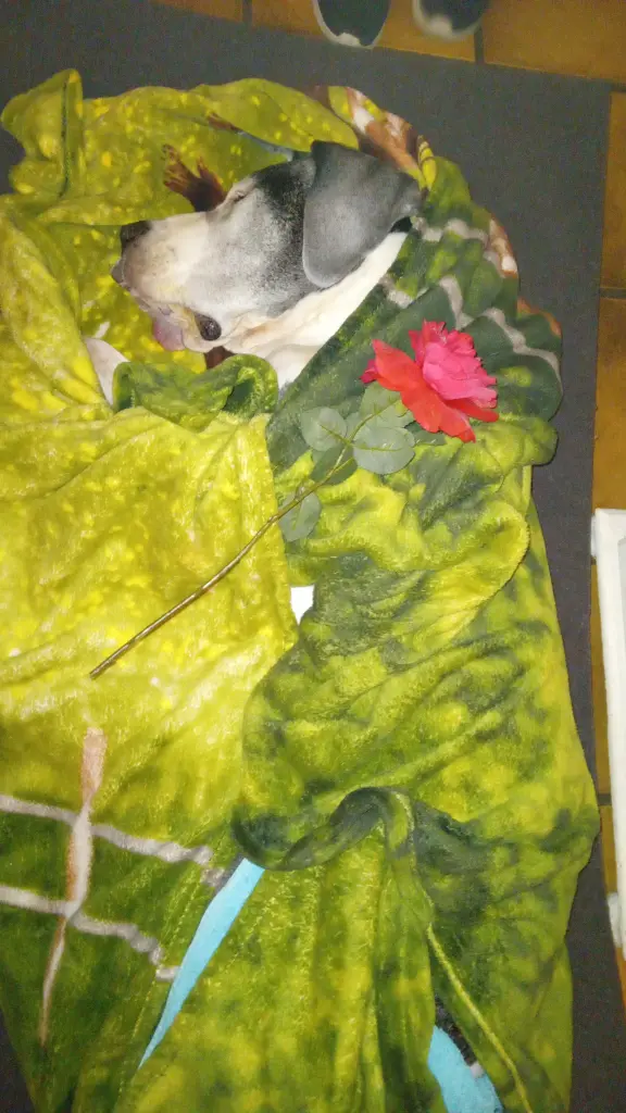 Image from Baby