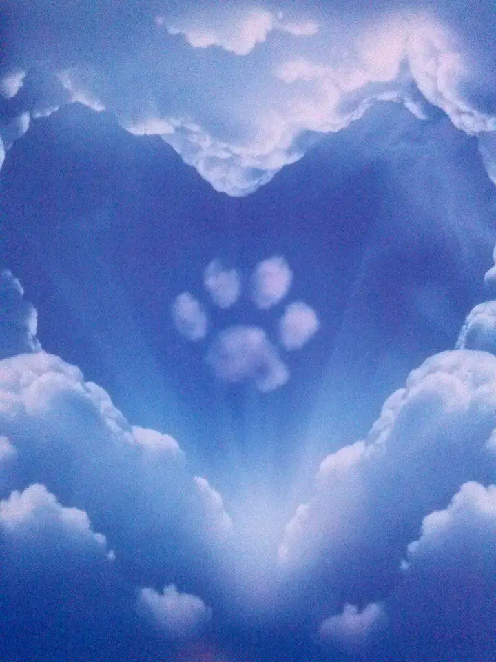 Condolence image of Dana