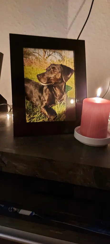 Condolence image of Nadja