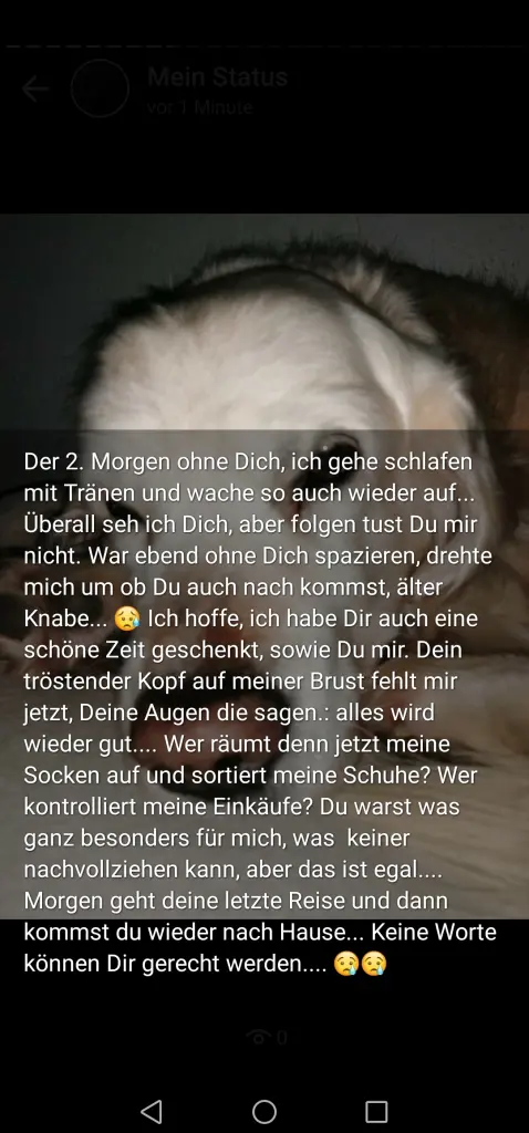 Image from Oskar