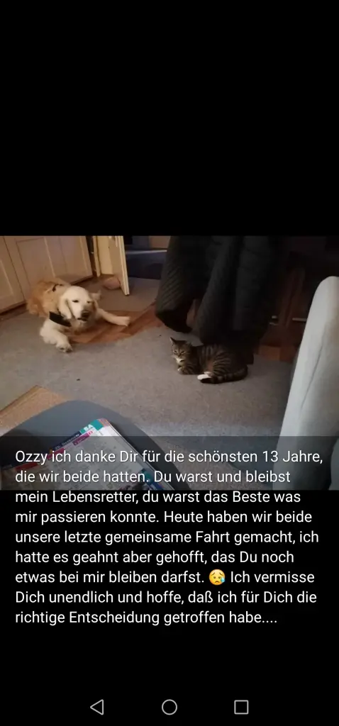 Image from Oskar