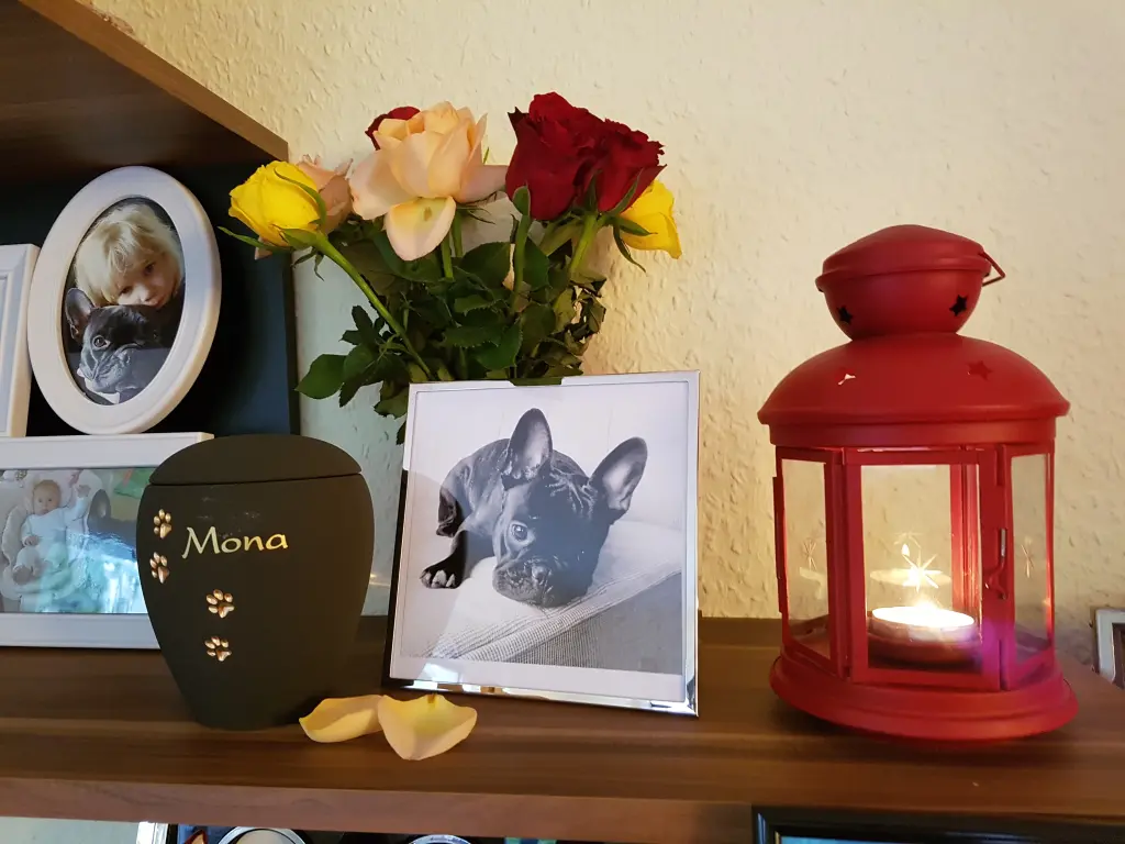 Image from Mona