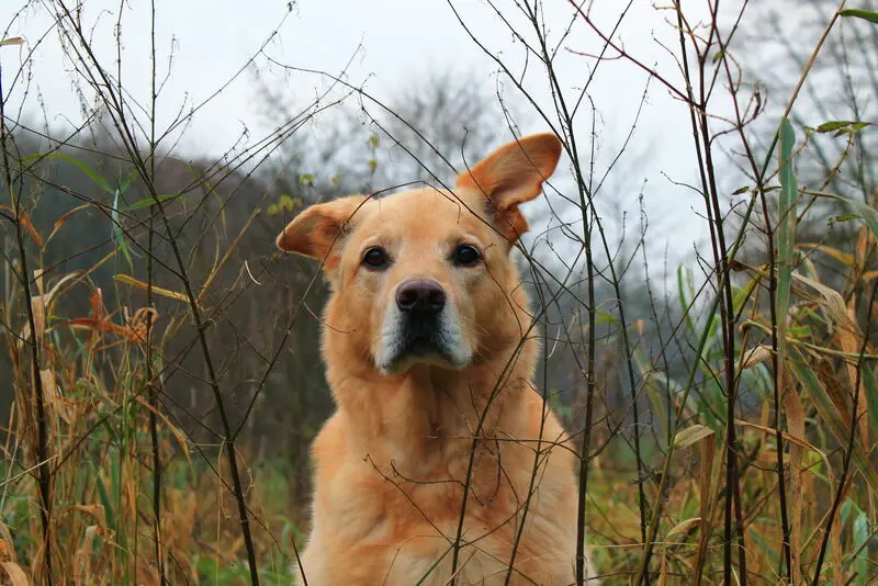 Condolence image of Jana