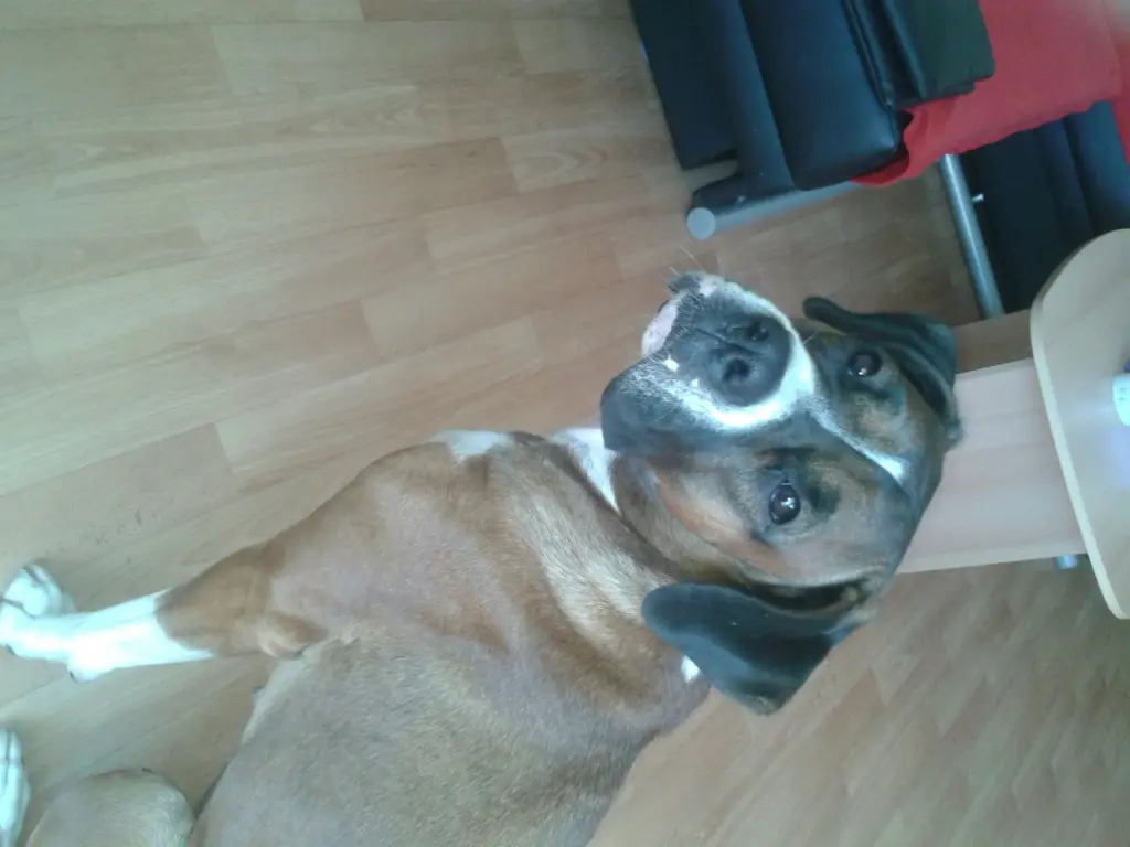 Condolence image of Marcel
