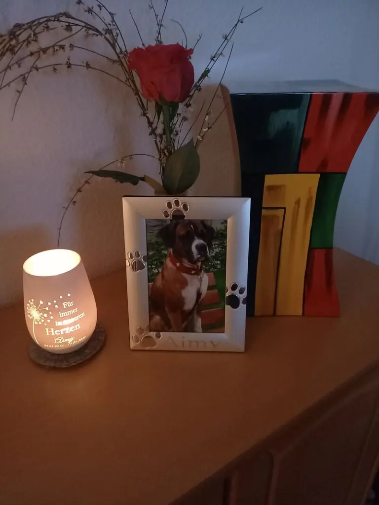 Condolence image of Ines