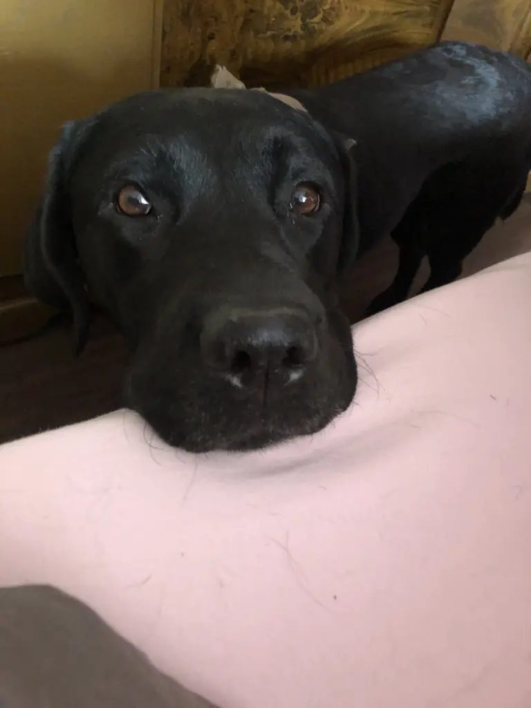 Image from Finn