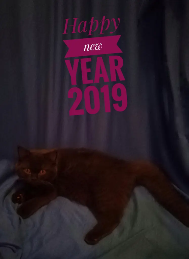 Image from Paul