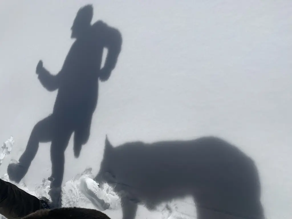 Image from Xena