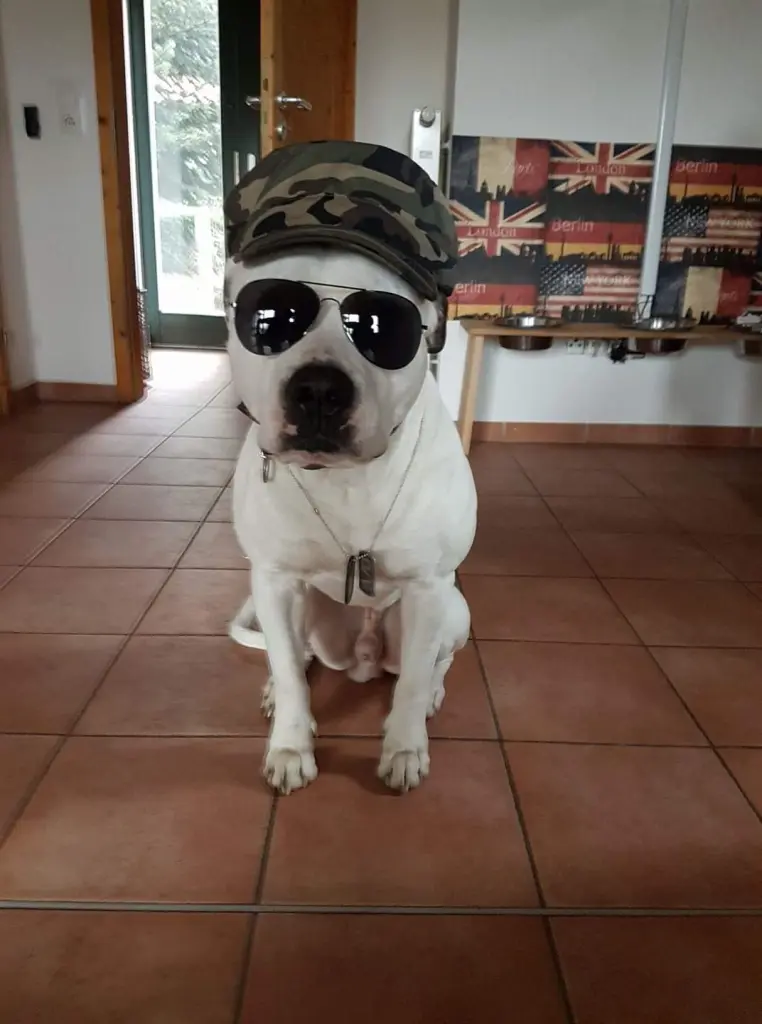 Image from Cash