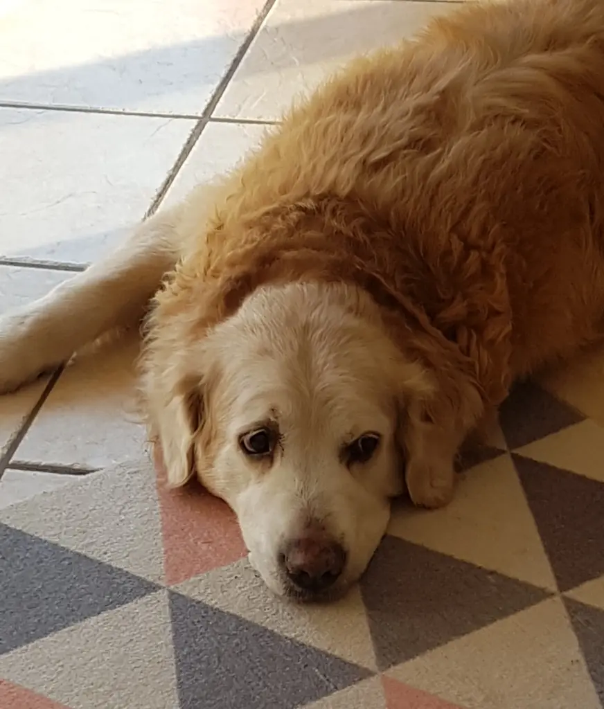 Condolence image of Claudia