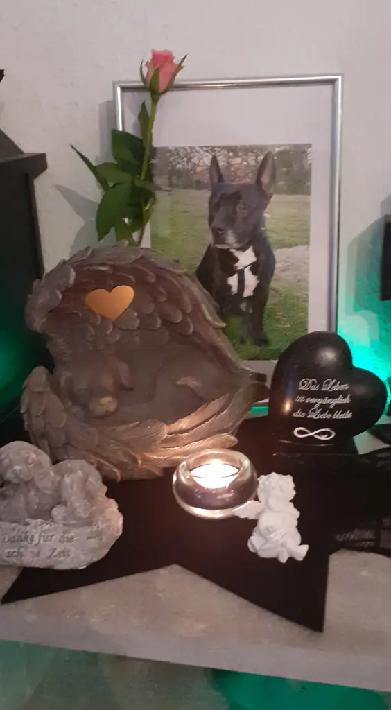Image from Butch