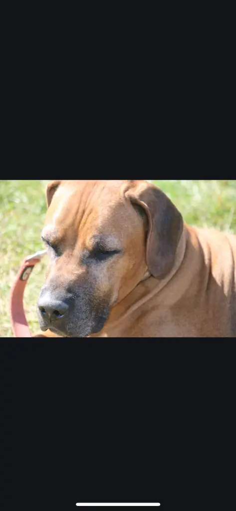 Condolence image of Unbekannt